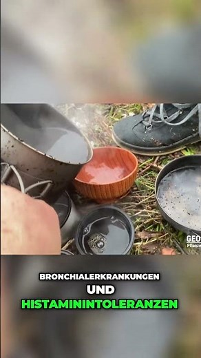Chaga Pilz: Unglaubliche Heilwirkung und Inhaltsstoffe enthüllt! #shorts