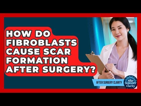 How Do Fibroblasts Cause Scar Formation After Surgery? - After Surgery Clarity