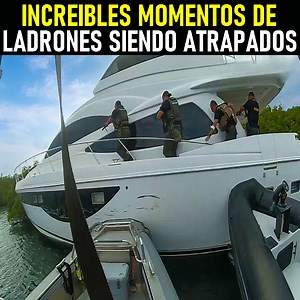 Increíbles Momentos de Ladrones Siendo Atrapados. | BRAIN TIME