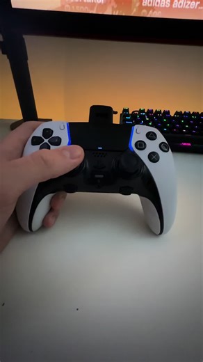 Get Armadillo Out Now !!! #viral #fyp #armadillo