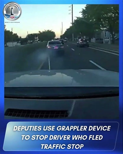 Hillsborough County deputies used a grappler device to stop a driver who attempted to flee during a