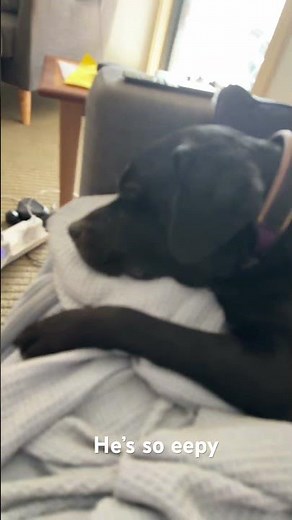 When you needs seepy’s go to eepy’s 💤