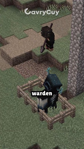 emang bisa kah bunuh warden pake spear?