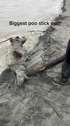 The biggest poo stick ever