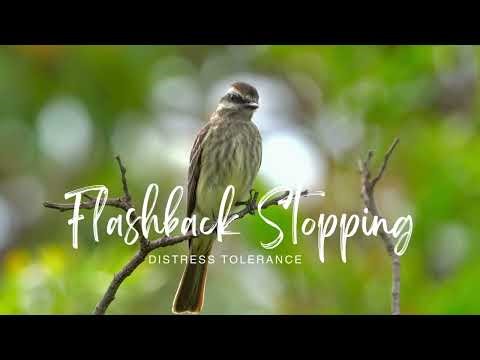 Flashback Stopping Script 3 mins