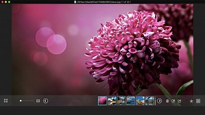 Widsmob Image Viewer 2 9 – Photo Viewer & Manager