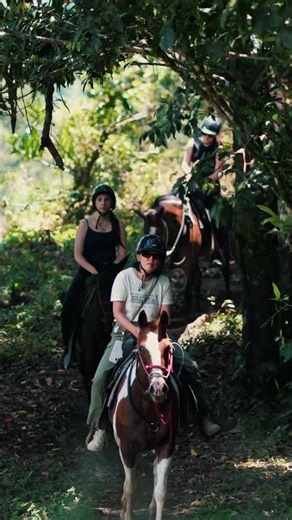 Paco's Horses | Family Horseback Riding in La Fortuna, Costa Rica