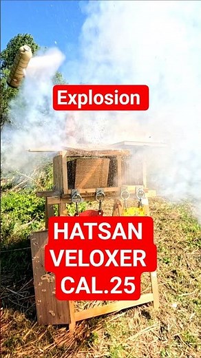Hatsan repex explosion caliber .25
