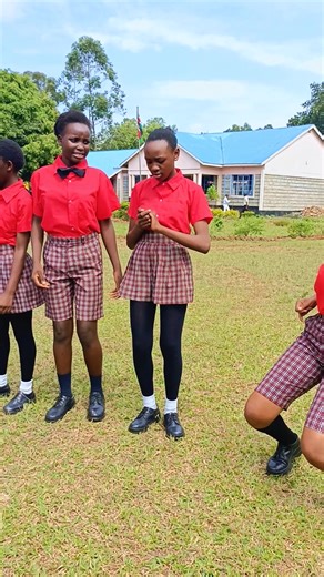 teacher Dan (@teacherdan12)’s videos with original sound - colloblue_udc