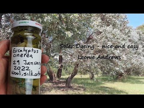 Solar Dyeing: Nice and Easy with Leonie Andrews