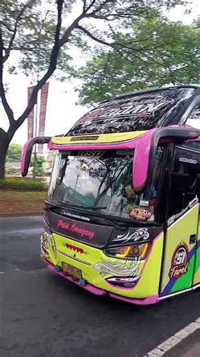 Basuri Bukit Bunga Shahira Alzidan#busmania #teloletbus