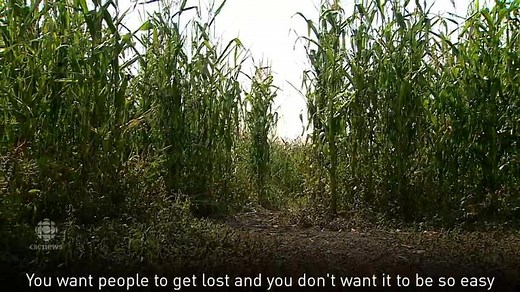 Corn maze master