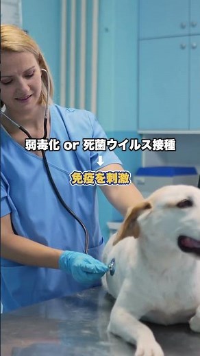 獣医師解説|ワクチンの仕組み