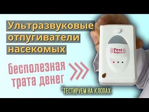 Ultrasound for Bed Bug Control - Pest Reject Test