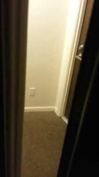 Really Loud Neighbors