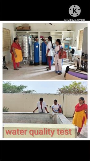 Vector Borne Disease ?🦟The Dangerous Bites...#mosquito #fly #insects