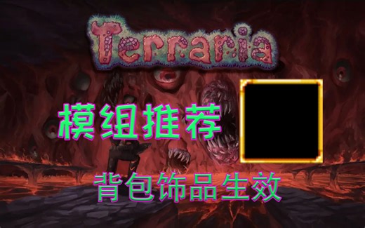 【泰拉瑞亚】超模模组推荐 背包饰品生效 【5】