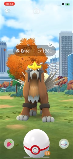 Catching a Shiny Entei on Pokémon GO #Shorts #Shortsvideo #Shortvideo #Youtubeshorts #PokemonGO