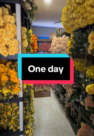 Transforming Silk Flowers: A Journey from Day One