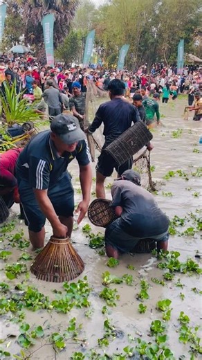 Traditional Fishing in Cambodia#Cambodia#KhmerCulture#TraditionalFishing#FishingInCambodia