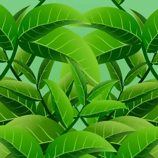 With Zesta Green Tea, serenity becomes an everyday ritual, allowing you to find your inner peace amidst the hustle and bustle of life. #ZestaTeas #NourishYourself #GreenTea #ceylontea | Zesta Teas