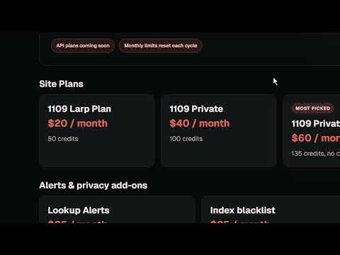 1ookup — Discord to IP Lookup Tool