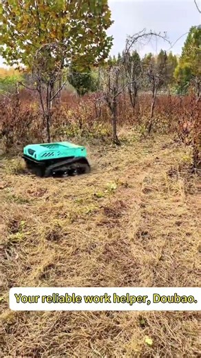 RC lawn mower robot