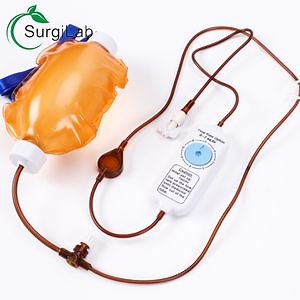 [Hot Item] Single Use Medical Elastomeric Soft Infusion Pump for Chemotherapy and Pain Management