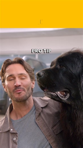 Get a free quote from Mercury and see how much you'll save. | Mercury Insurance