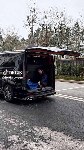 😂😂😂😅 #foryoupage #minivan #fordwowsen #luxurycars #cartok