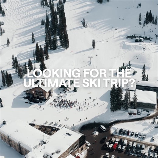 Discover Brighton, Solitude, Snowbird and Alta with the Ski Super Pass, your all-in-one way to ski and ride this winter. | Visit Salt Lake