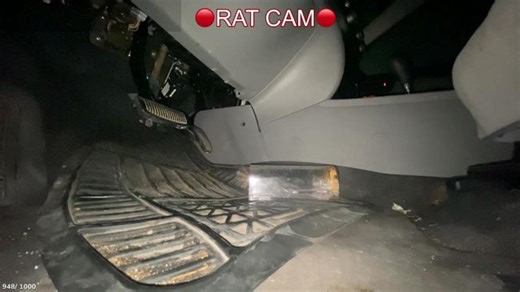 RAT CAM