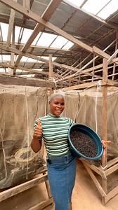 227 reactions · 25 comments | ##bsf #bsflarvae #livestockfarming #farming #urbanfarming | Mirajfoodsand_fishery | Facebook