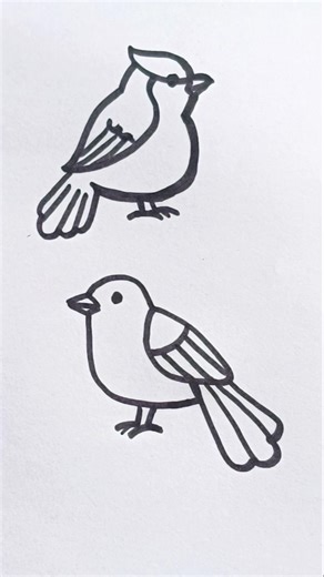 Best Birds outline drawing on youtube #shorts #trending #viral #foryou #youtubeshorts #youtube #fyp