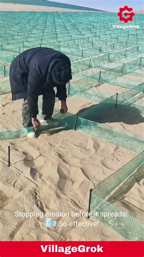 Sand Dune Stabilization: Installing Netting to Prevent Erosion
