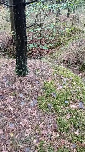 Guderian_by (@guderian_by)’s videos with оригинальный звук - Guderian_by