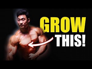 Build a Huge Lower Chest (How to Make a Highly Effective Program)