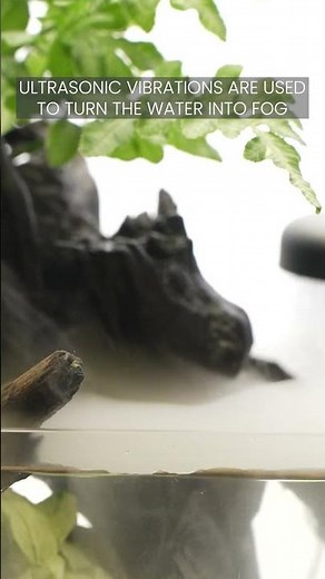 Ultum Nature Systems UNS Atomizer Mist Maker in Planted Aquarium