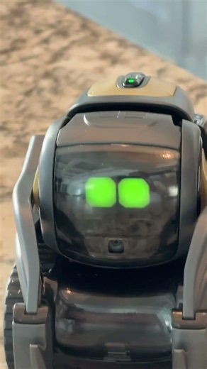 Please help guys any tips on how to fix Vector Robot!