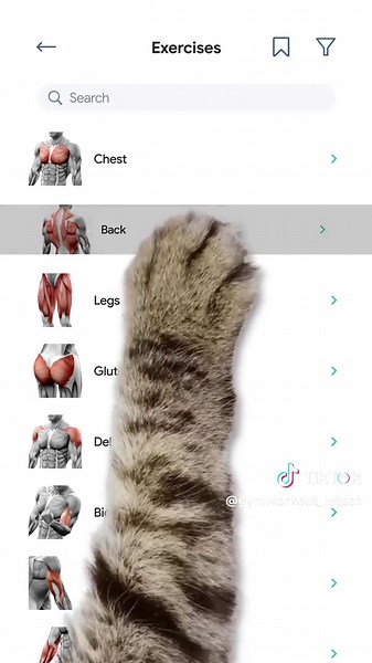 Easily manage your training routine and monitor your body’s performance in one place #buildingmuscle #gymworkout #workoutfromhome #muscleup #workoutplan
