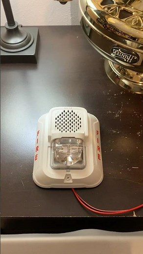 System Sensor P2WL-LF Low Frequency Horn Strobe Test #firealarm #systemsensor #lseries #shorts