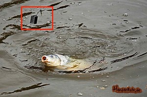 Feeder Montage top 5   Anleitung zum Binden der Futterkorb Montage