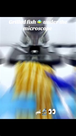 Grilled fish 🐠🔬 400x #creatorsearchinsight2026 #microscope #현미경 #science #fup