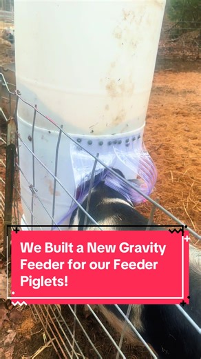 Custom Fabrication for Feeder Pigs on Our Homestead