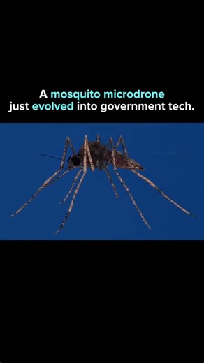 how mosquito 🦟 drone work #education #shortfeed #shorts #tech