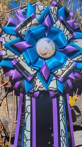 2.4K views · 60 reactions | Congratulations Poppi on 100 runs - this special ribbon was made to not only celebrate her achievement but to match her special colors. #vividawardstudios #FastCat #fastcatribbons | Vivid Award Studios | Facebook