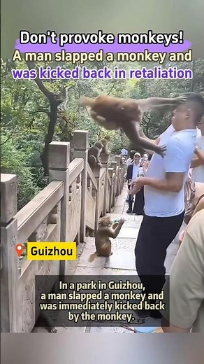 【Don't provoke monkeys! A man slapped a monkey and was kicked back in retaliation】