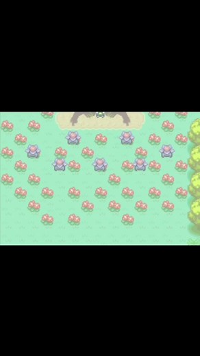 Ash's Bulbasaur Evolution Festival Dilemma