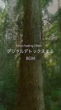 【デジタルデトックスBGM】forest healing 24min