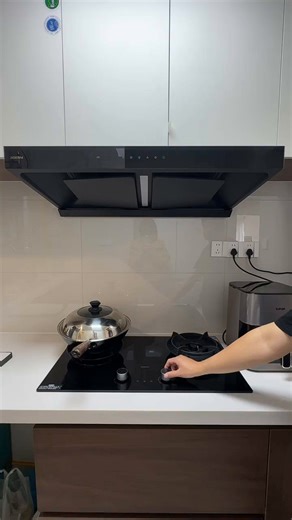 老板（Robam）油烟机E2P/E2 家用抽油烟机28风量1380Pa静压搭配烟灶联动D2灶双腔变频大吸力吸油烟机套装66D5-E2 【烟灶热三件套】E2P